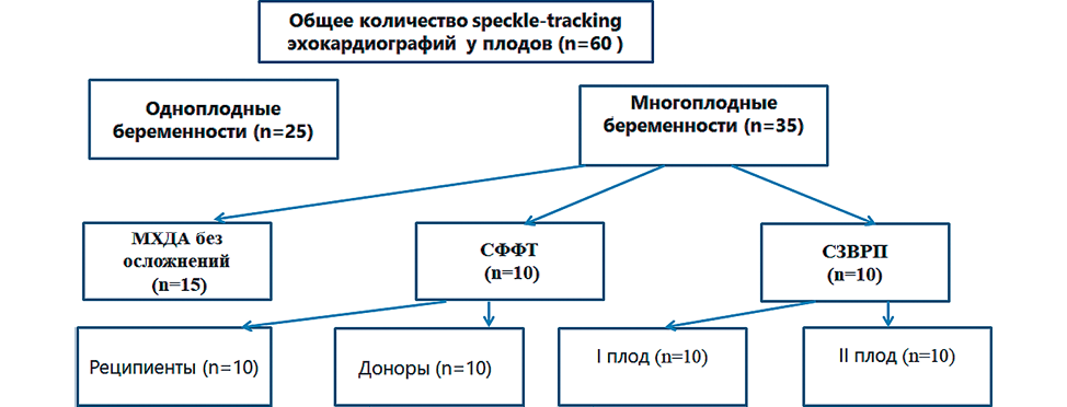 Изображение на обложке